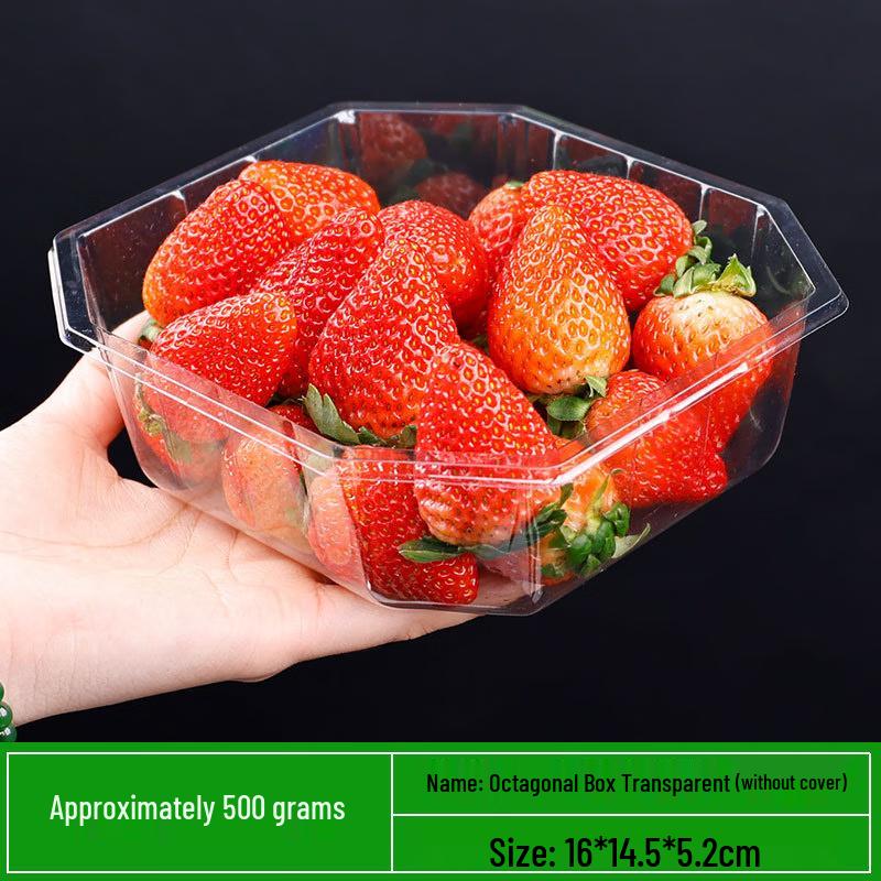 Disposable Rectangular Food Containers