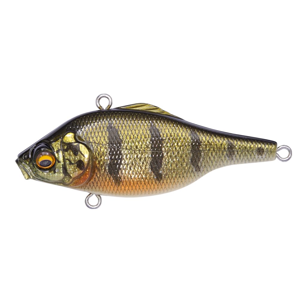 

SMATRA FA Peacock VIBRATION-X (ГРЕМЯ В)