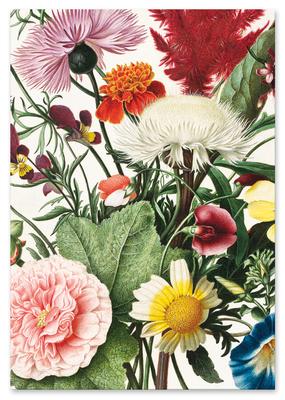 Pôster flores silvestres decorações de parede