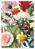 Poster Wildflowers Wall Decorations