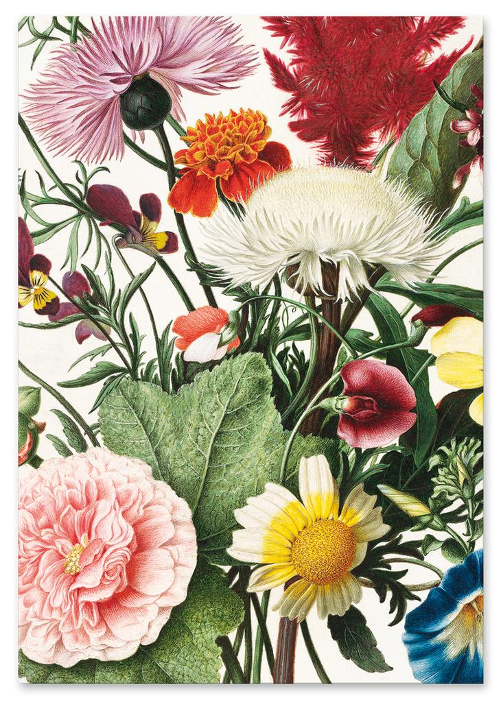 Poster Wildflowers Wall Decorations