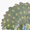 Simulation Peacock Model Simulated Lifelike Birds Peacock Animal Vinyl Model Decorative Ornament Gift