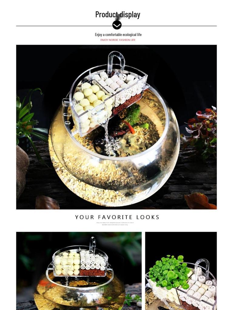 Round Glass Fish Tank: 3-in-1 Silent Filter, Oxygenator, and Waterfall Box with Ceramic Trickle Media.