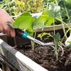 GARDENA Comfort Hand Grabber Rake, 3 Claws, Turquoise, 7cm Wide, 8957-20, Product Warranty: Up to 25 Years