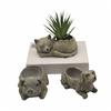 Decorative Succulent Pots Adorable Animal Themed Resin Planter for Indoor Bonsais and Cactus Balcony Air Plant Holder