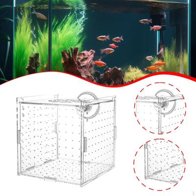 Breeding Box for Aquarium Acrylic Acclimation Hatchery Breeder Fry Betta Prawn