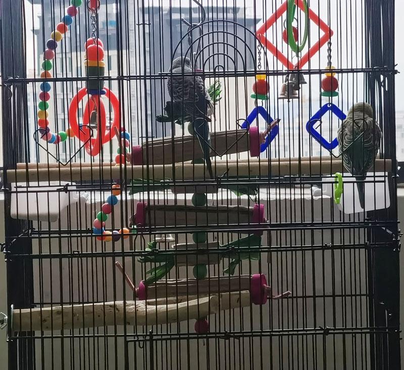 Parrot Toys Corrugated Board Natural Green Color Corn Leaf Bird Toy Bird Cage Chewing Toy