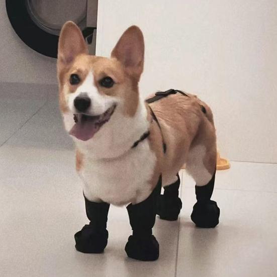 Dog Suspender Boots Connected Dog Rain Shoes Waterproof Doggy Booties Adjustable Dog Paw Protectors