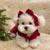 Puppy Bow Knot Dress Set Winter Warm Dog Clothes Pet Christmas Princess Dress Teddy Solid Color Skirt Send Clip