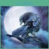 Painting Craft Embroidery Rhinestones Diamond Painting Diamond Painting Raven Moon Wall Arts Decor