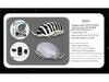 Bionic Remote-Controlled Animal Toy: Cockroach, Centipede, Frog, Crab, Prank Spider, Boa Constrictor, Mouse.