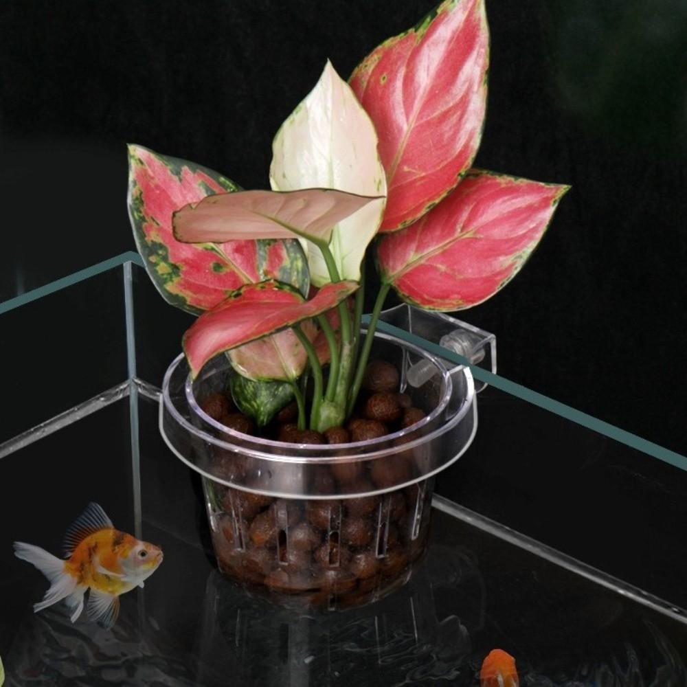 Transparent Fish Tank Grass Cup Round Hanging Aquarium Planting Basket Wall Mounted Plastic Hydroponic Support
