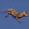 Royal Model 1/35 Diorama Accessory Donkey Corpse Resin Kit RM1068 (Scenery)