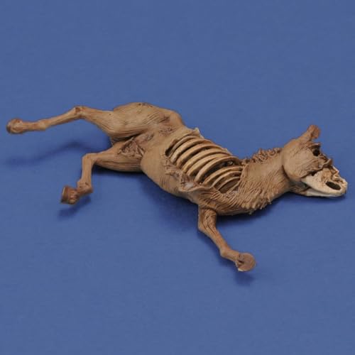 Royal Model 1/35 Diorama Accessory Donkey Corpse Resin Kit RM1068 (Scenery)