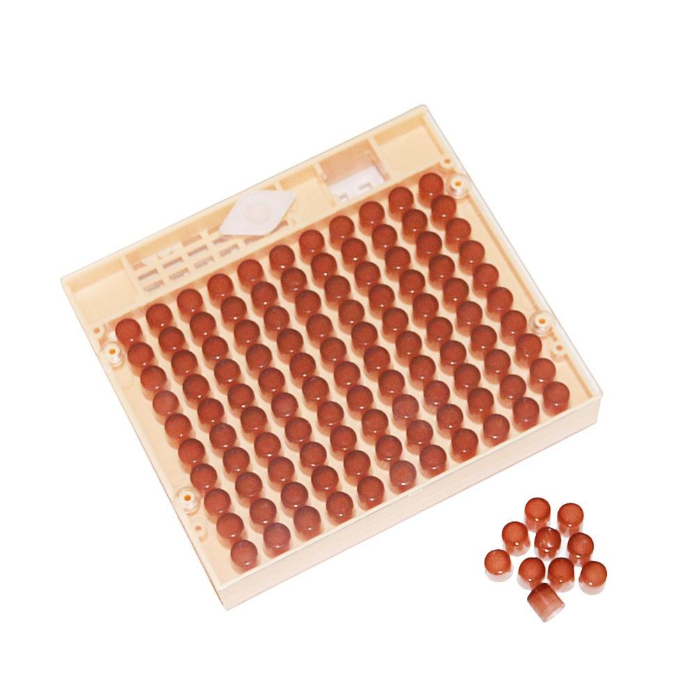 Beekeeping Equipment Tools Rearing Queen Bee Lay Eggs Plastic Box Cage For Professional Beekeeper Apiculture Supplies