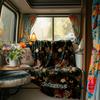 Tiger Jungle Floral Design Artwork Blanketcustomizable With Your Namecomfortable And Stylish Perfect For Travel Beds Chairs Offices Sofas