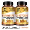 Cordyceps-Extrakt Pilzkapseln, hohe Konzentration an Cordyceps-Essenz, sanft und leicht absorbierbar, für Erwachsene geeignet.
