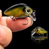 5pcs Mini Fishing Lures Set Lifelike Crank Baits Artificial Baits Swimbait with Tackle Box