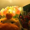 10Pcs Tulip Flower LED Lights USB Powered Warm Glow Faux Flower Lamp for Bedroom Living Room Wedding Decor Creative Ambient Night