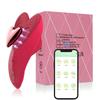 Heart-Shaped Wearable Vibrator with Remote Control & App for Women's Pleasure, Portable Adult Toy