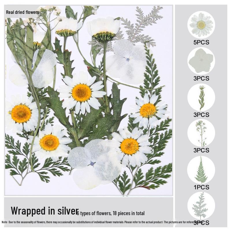 Handmade Resin Pressed Flower Bookmark DIY Kit: Transparent Specimen Stickers & Dried Flowers for Students
