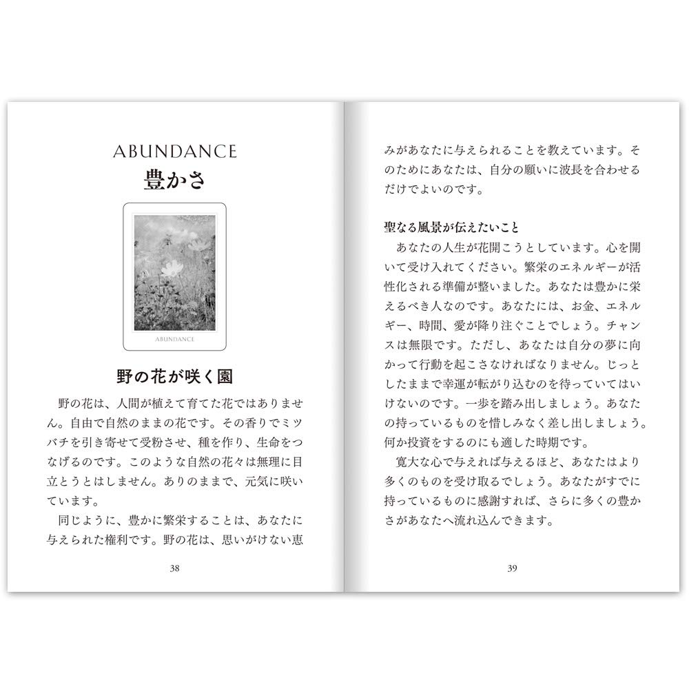 Sacred Destiny Oracle (Japanese Version with Instructions) (Oracle Card Series)