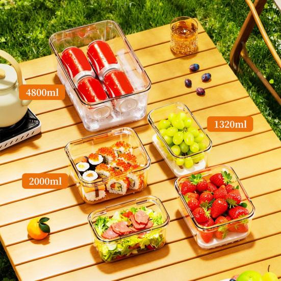 Contenitore Alimentare Ermetico Sottovuoto Elettrico Scatola Croccante Sigillata Ermeticamente con Pompa Manuale Contenitore per Alimenti Senza BPA per Frigorifero Frutta Verdura e Carne