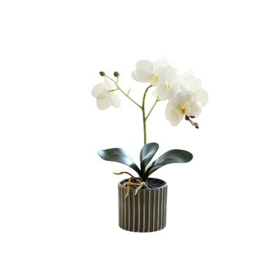 Artificial Orchid Flower Bonsai with Pot Potted Phalaenopsis Planter Home Office Decor Bright Color Indoor Balcony