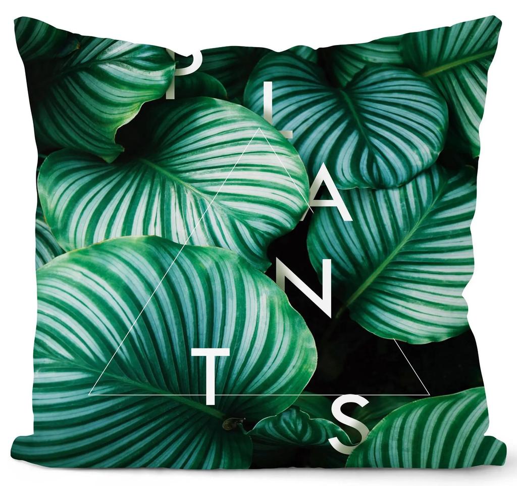 New Tropical Plant Leaves Print Cushion Covers Monstera Palm Cactus Decorative Livingroom Pillowcase Modern Couch Throw Pillows