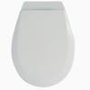 Xuan Yong Children's Top-Mount PP Toilet Seat