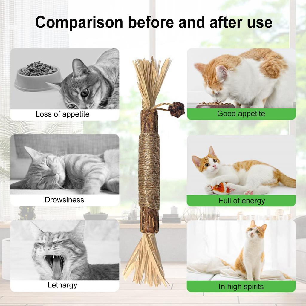 Natural Silvervine Dental Sticks with Hemp Rope Natural Wood Cat Chew Sticks Interactive Stress Release Bite Rope Toy for Cats