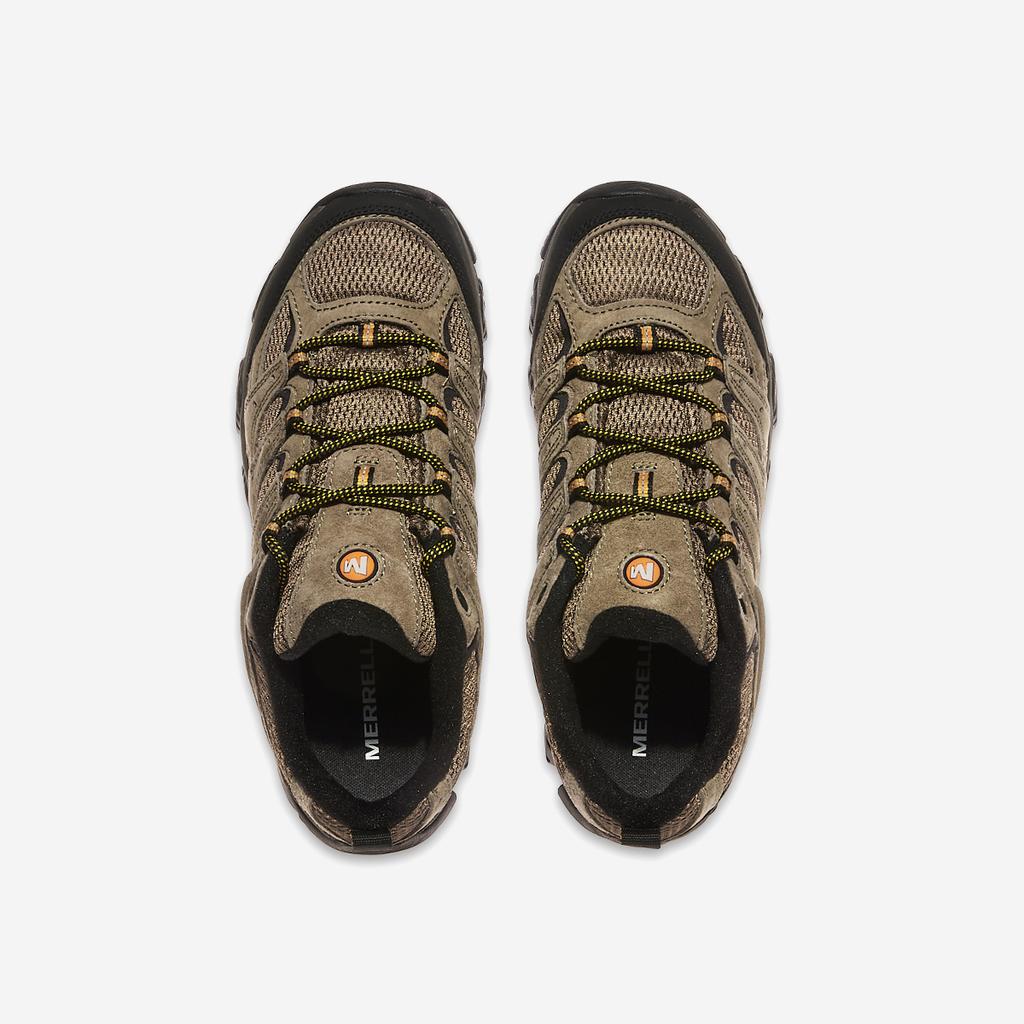 Merrell Moab 3 [J035893-WALNUT]