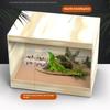 Pet Reptile Transparent Feeder Anti-Escape Food Bowl Worm Live Container Mini Reptile Pet Bowls With Suction Cups Pet Supplies