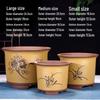 Yellow Purple Clay Ceramic Orchid Pot Set with Drainage Tray