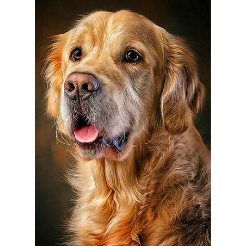 DIY 5D Diamond Painting Cross Stitch Full Round Drill Dog Animal Art Mosaic Kits Diamond Embroidery Home Decoration Gift
