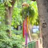 Wind Chimes for Home Décor – Positive Energy Decoration for Living Room, Bedroom, Multicolor 12-Pipe