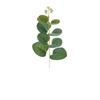 Small Eucalyptus Leaf Branch for Wedding and Home Décor