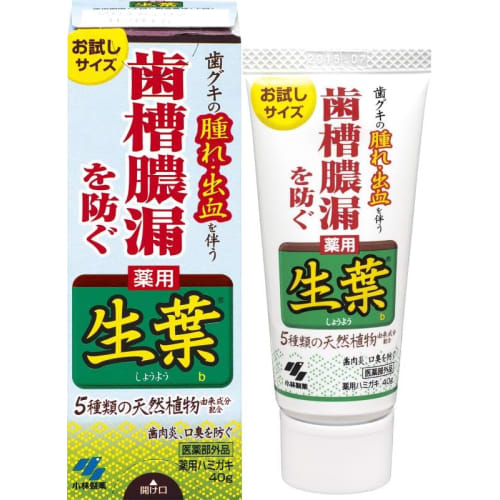 Used (Shoyo) Trial Size Medicated Toothpaste To Prevent Periodontal Disease, Japanese and Chinese Herbal Flavor, 40g