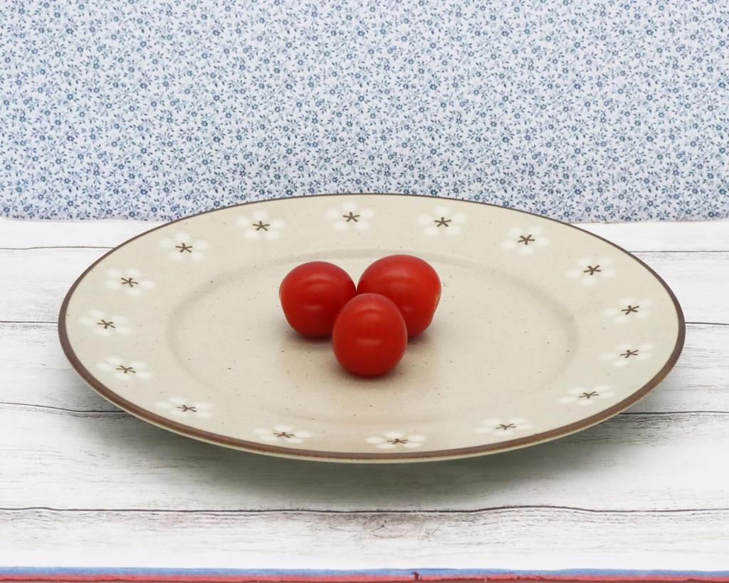 Castle Enterprises [Set of 5 24cm Meat Plates] Mino Ware, Kamakura Old House Cafe Series