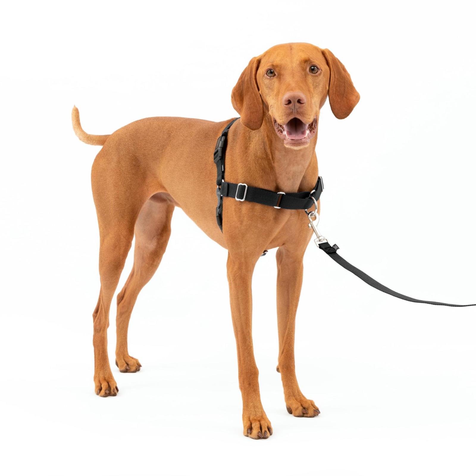 

Dog To Prevent Escape, Leash For Large Dogs, -burst Pet S чёрный