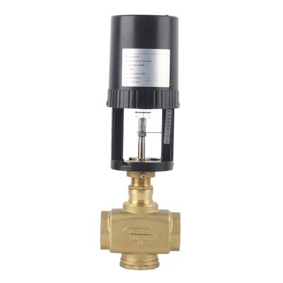 Electric Motorized Valve Regulating Control Brass BSP 2 Way AC 220V for Industry