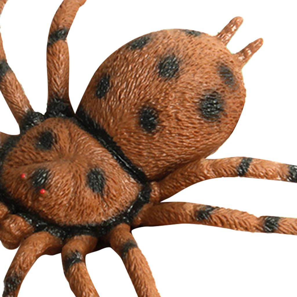 Spider Model Lifelike Exquisite Simulated Large Spider Toy for Teaching Entertainment Brown