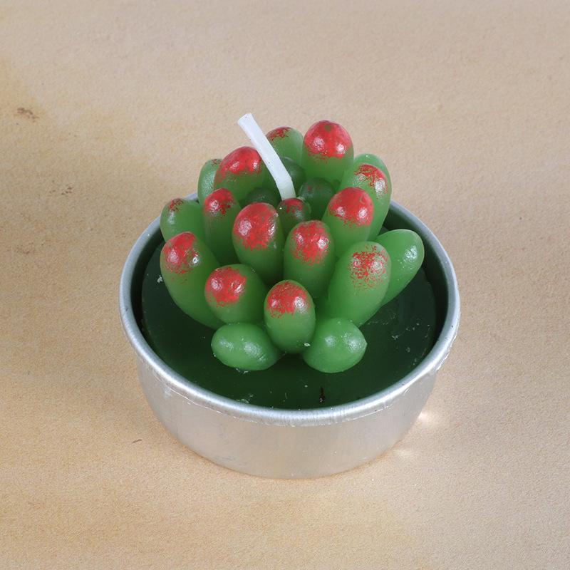 New simulation succulent plant candles, rose candles, 44 product combinations, and special-shaped paraffin candles