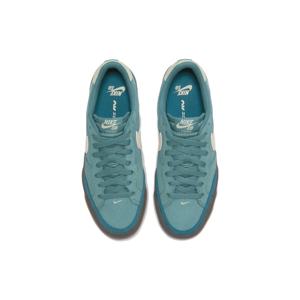 New Nike Sb Zoom Pogo Plus Noise Aqua Women's DV5469-401