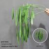 Asparagus Fern & Willow Buds Greenery for Wedding Decor & Landscaping