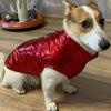 Haine pentru animale de companie Vestă cu ștanțare aurie strălucitoare Costum de schi pentru câini Jachetă impermeabilă Haine pentru câini de toamnă și iarnă