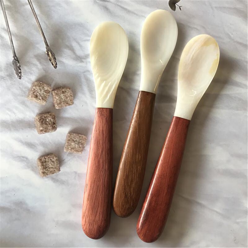 Abay Shell-Spliced Plastic Coffee & Dessert Spoon