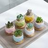 Nordic Decoration Coffee Table Restaurant Porch Study Colorful Ceramic Geometric Plant Flower Pot