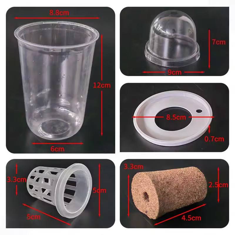Germination Cup Visible Clear Plant Nursery Growing Box Plastic Seed Starting Pots Seedling Flower Pot Transparent Root ViewCup