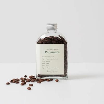 [Coffee Masterpiece] Guatemala El Inherto Pacamara Natural Coffee Beans